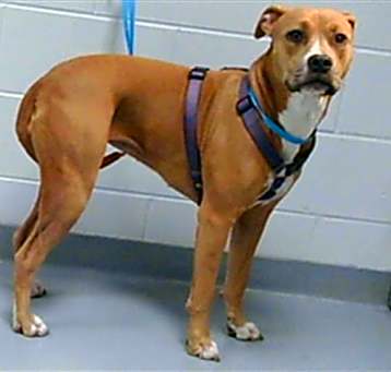 Photo of KIVA