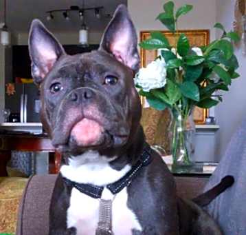 Photo of Thaddeus