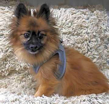Photo of Alex AKA Allie