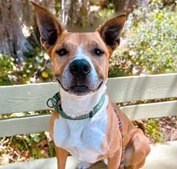 Photo of Sawyer