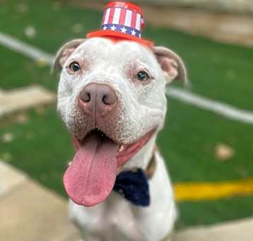 Photo of Rocko