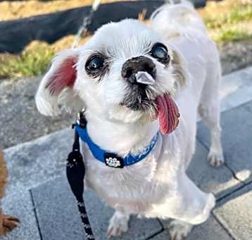 Photo of Noah