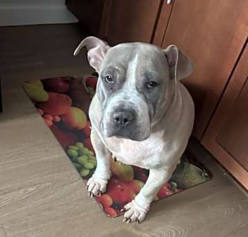 Photo of Chyna