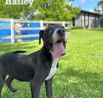 Photo of Hailey