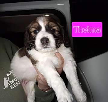 Photo of Thelma