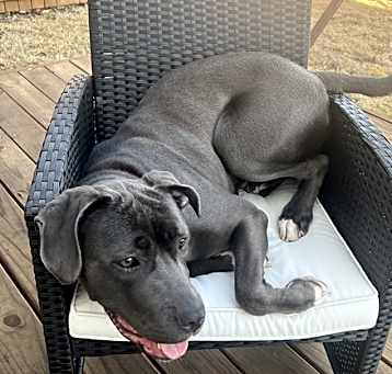 Photo of Cocoa (New Digs)