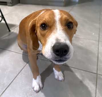 Photo of Zeus