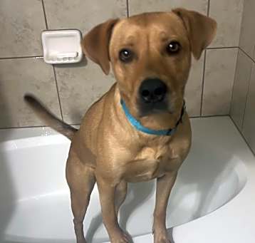 Photo of Delilah