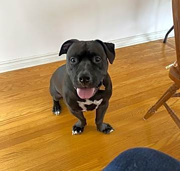 Photo of Kingsley