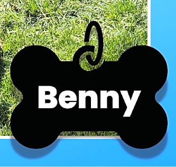 Photo of Benny
