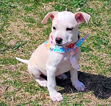 Photo of Tia