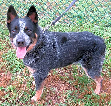 Photo of Chase