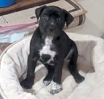 Photo of Minnie