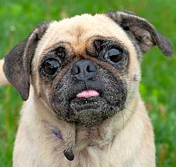 Photo of Matilda