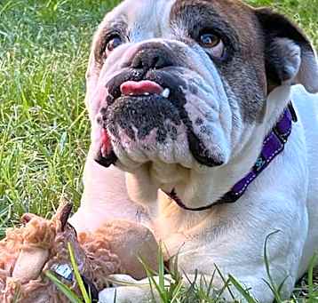 Photo of Nellie