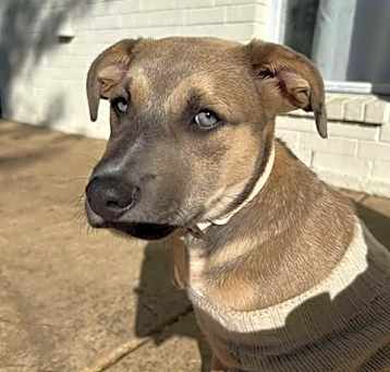 Photo of Ella