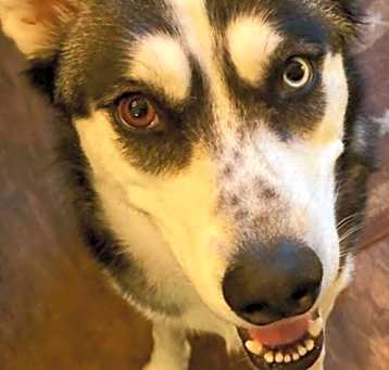 Photo of Azula