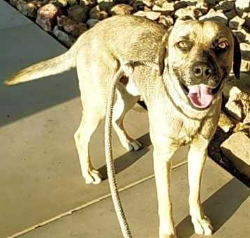 Photo of PEPPER