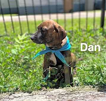 Photo of Dan