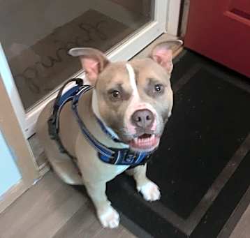 Photo of Oso