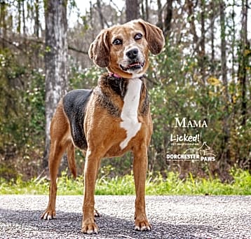 Photo of Mama