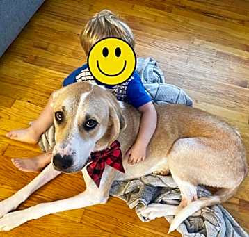 Photo of Juno