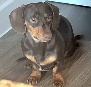 Photo of Charlie