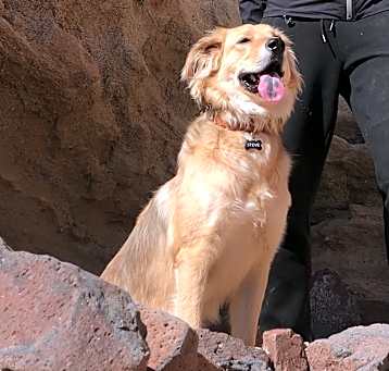 Photo of Steve