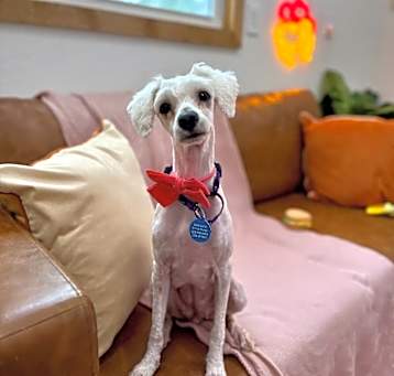 Photo of Buffy