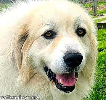 Photo of Ashi in KY - Always Wearing a Smile!