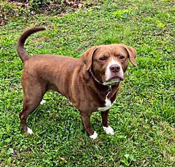 Photo of Coco