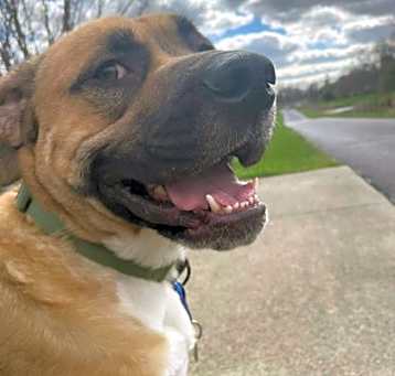 Photo of Cash