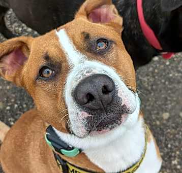 Photo of Kody