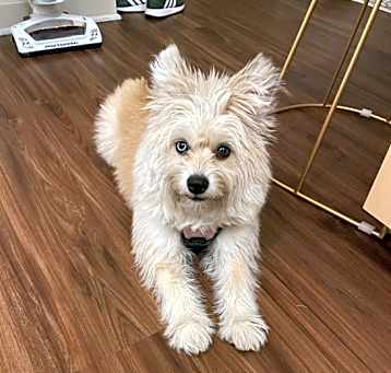 Photo of Lulu