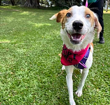 Photo of Penny