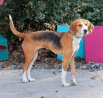 Photo of Polly