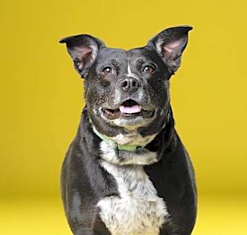 Photo of QUEENSY