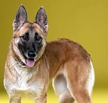 Photo of ALBA