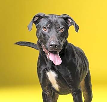 Photo of DEEBABY