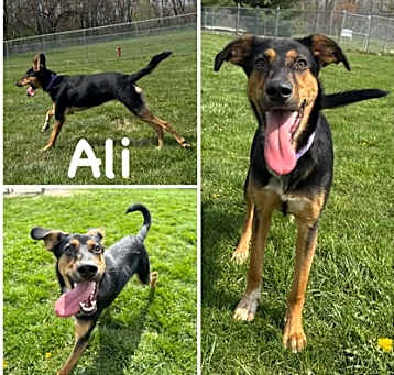 Photo of Ali