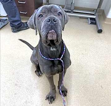 Photo of *BIG BERTHA