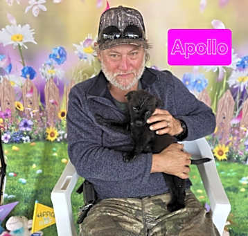 Photo of Apollo