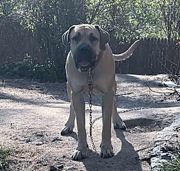 Photo of Zeus