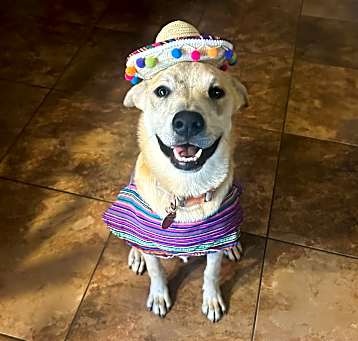 Photo of Roxie