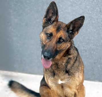 Photo of Ada