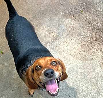 Photo of oskie