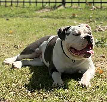 Photo of Mack