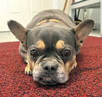 Photo of Quincy