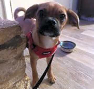 Photo of Baby