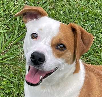 Photo of Bodi